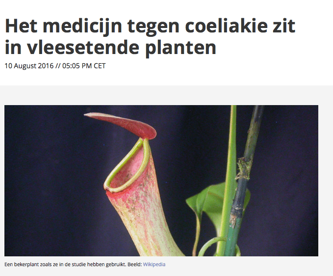 Blog 49★- genezing&nbsp;coeliakie?