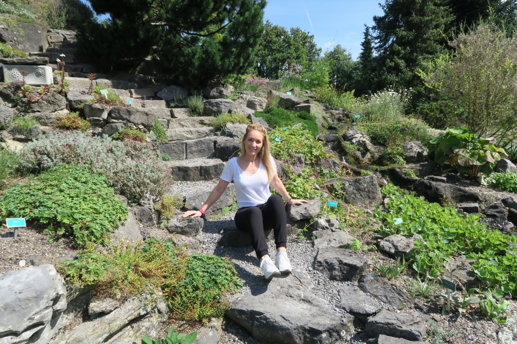 Blog 53★ – gras&nbsp;rollen