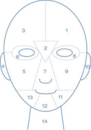 locatie puistjes.png