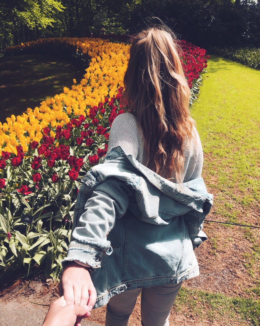 Blog 117★ – review shampoo&nbsp;Zarqa